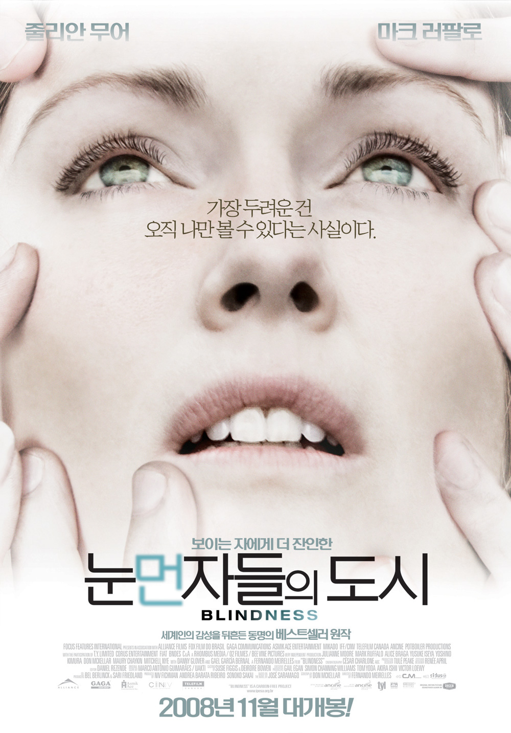 눈 먼 자들의 도시(Blindness), 2008